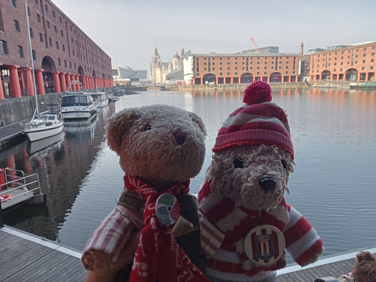 Hanley Bear ⚽️ tweet media