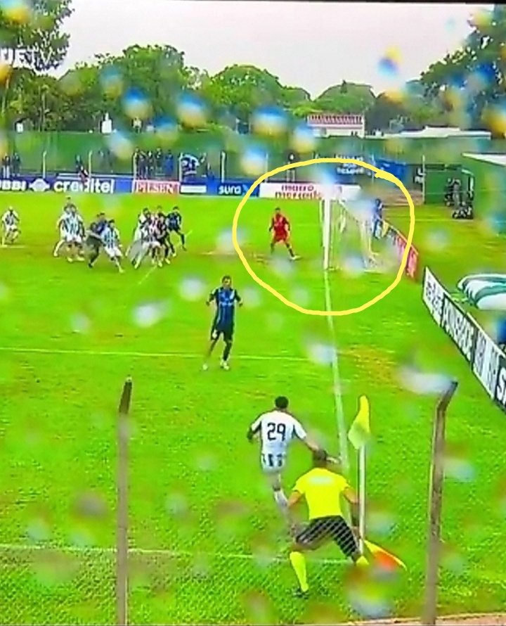 Daniel Castiglioni tweet media