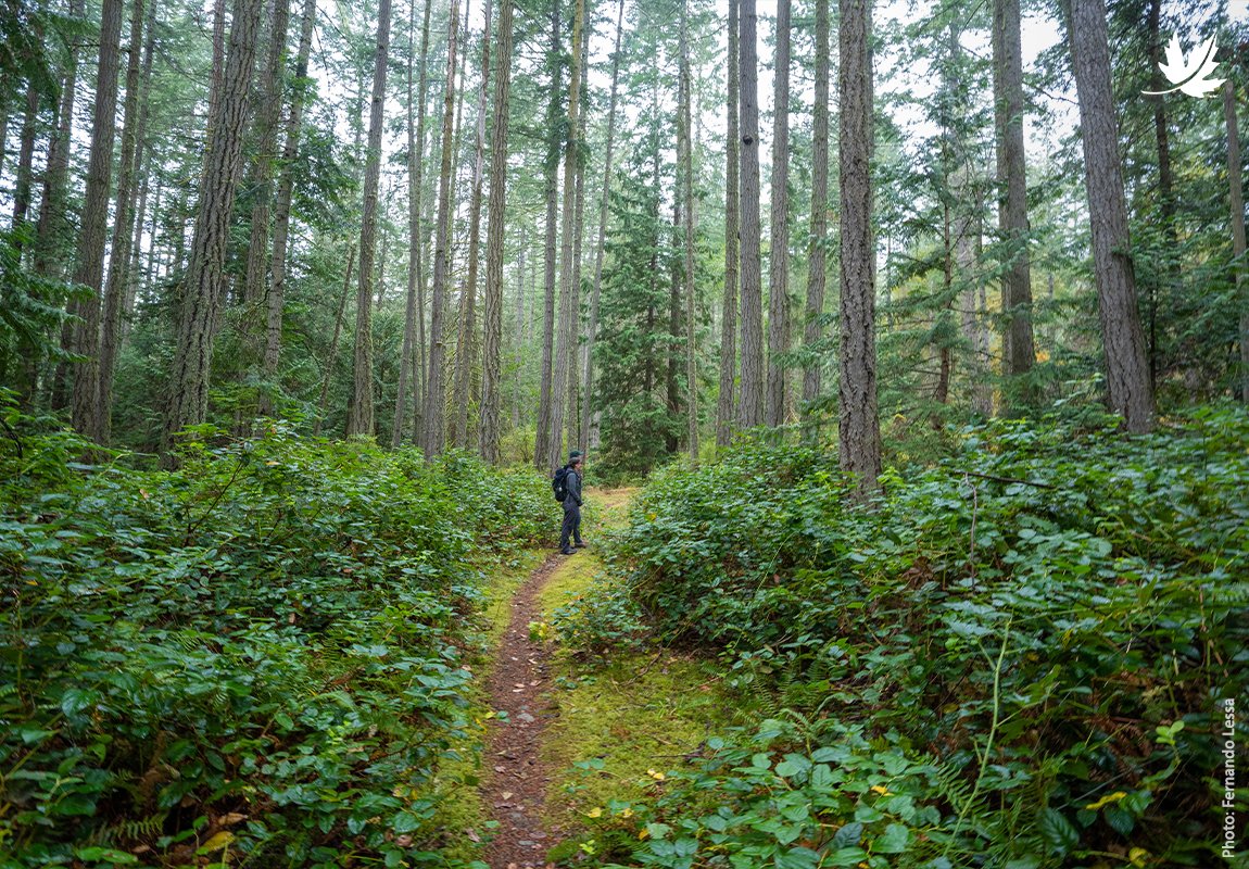 NatureConservancy.ca | Conservationdelanature.ca tweet media