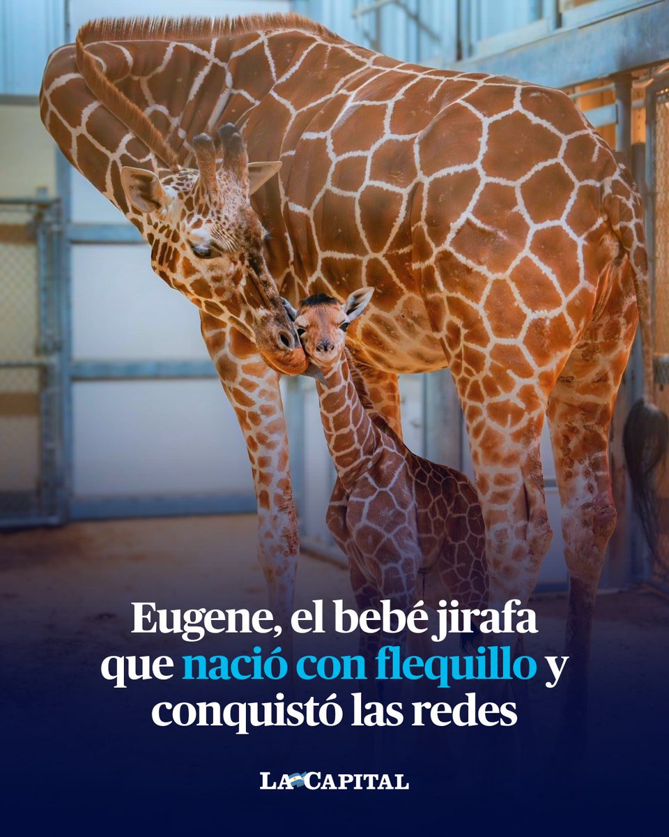 Diario La Capital tweet media