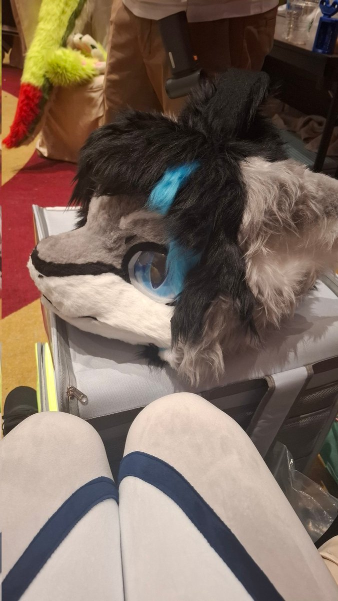 🖤 MaxArtWolf🔞 tweet media