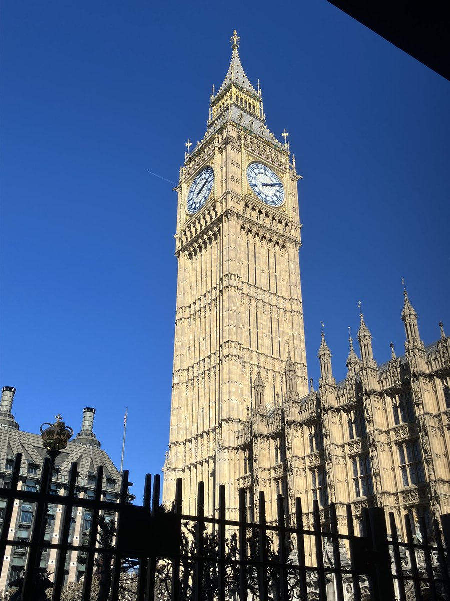 Philip Newman-Hall tweet media