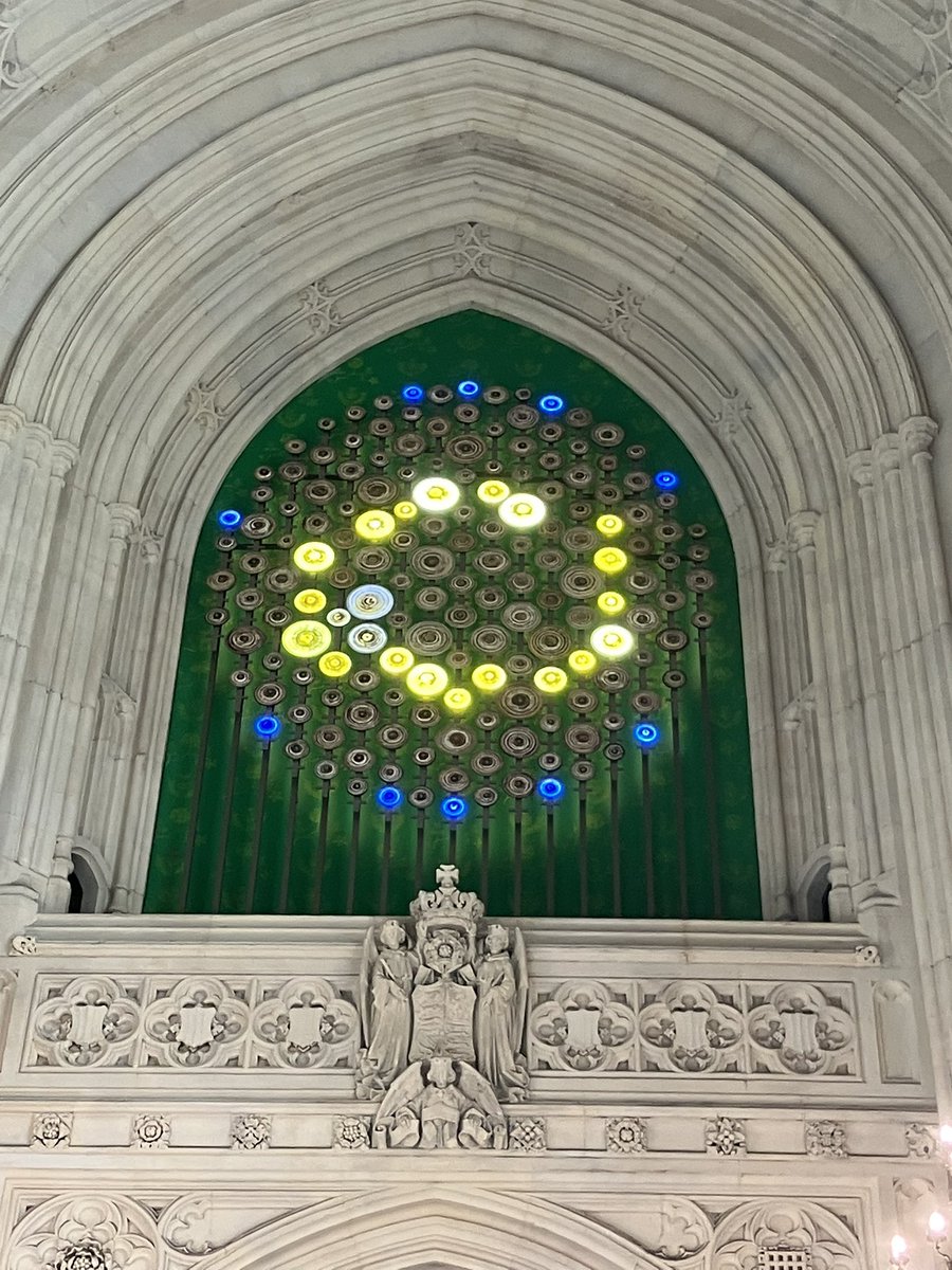 Philip Newman-Hall tweet media