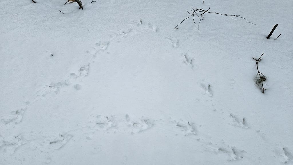 Eric Gauthier tweet media