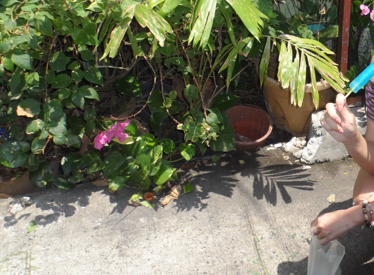 キユイ tweet media