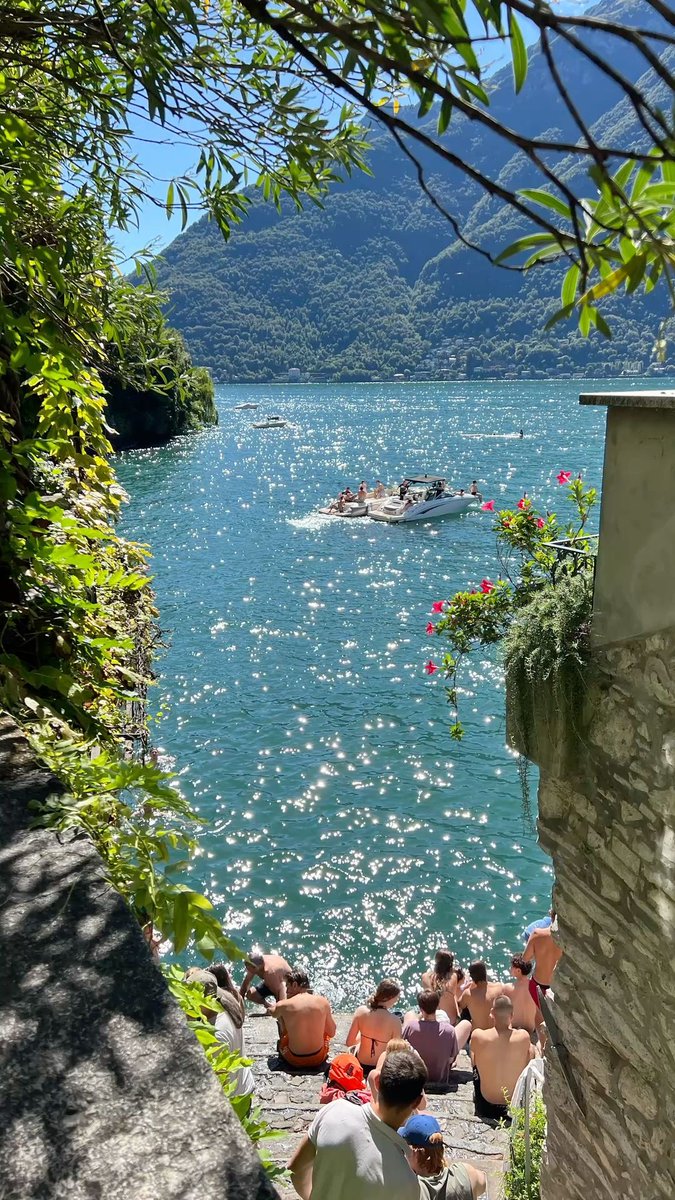 🍋🍸🍝🐠🌸🌞