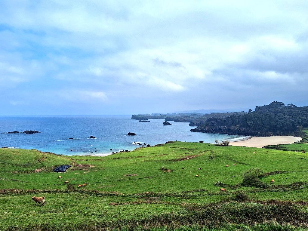 Fran TTTTT tweet media