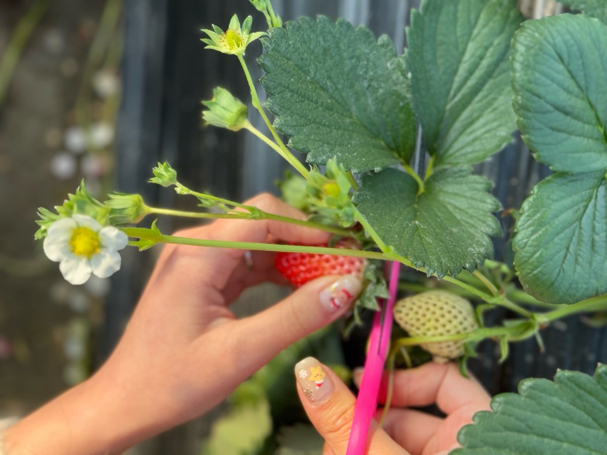 Raff And Millz tweet media