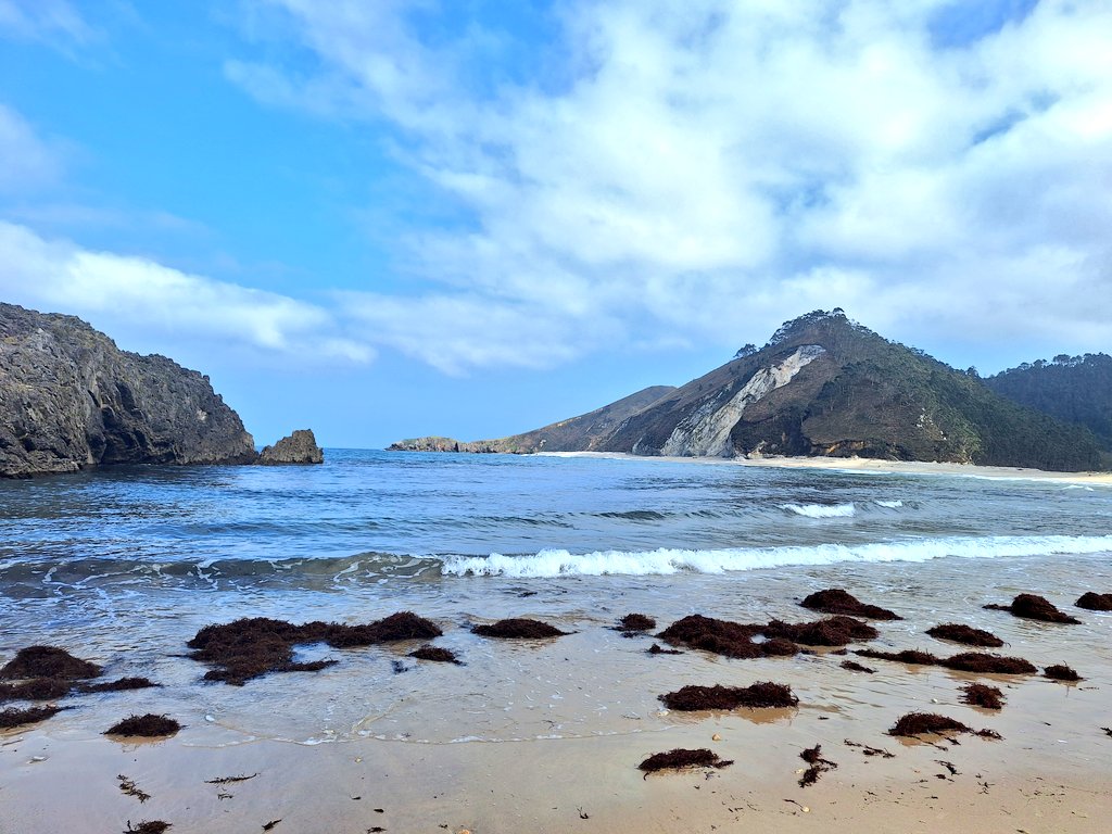 Fran TTTTT tweet media