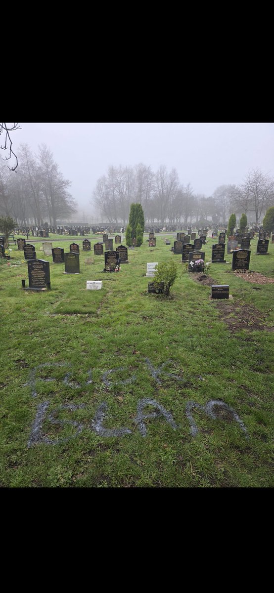 Zara Hussain tweet media