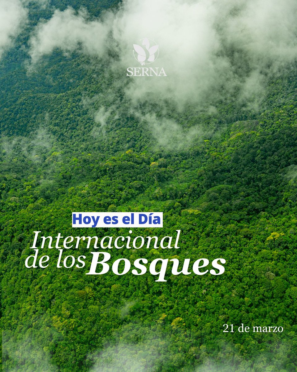 Secretaría de Recursos Naturales y Ambiente tweet media