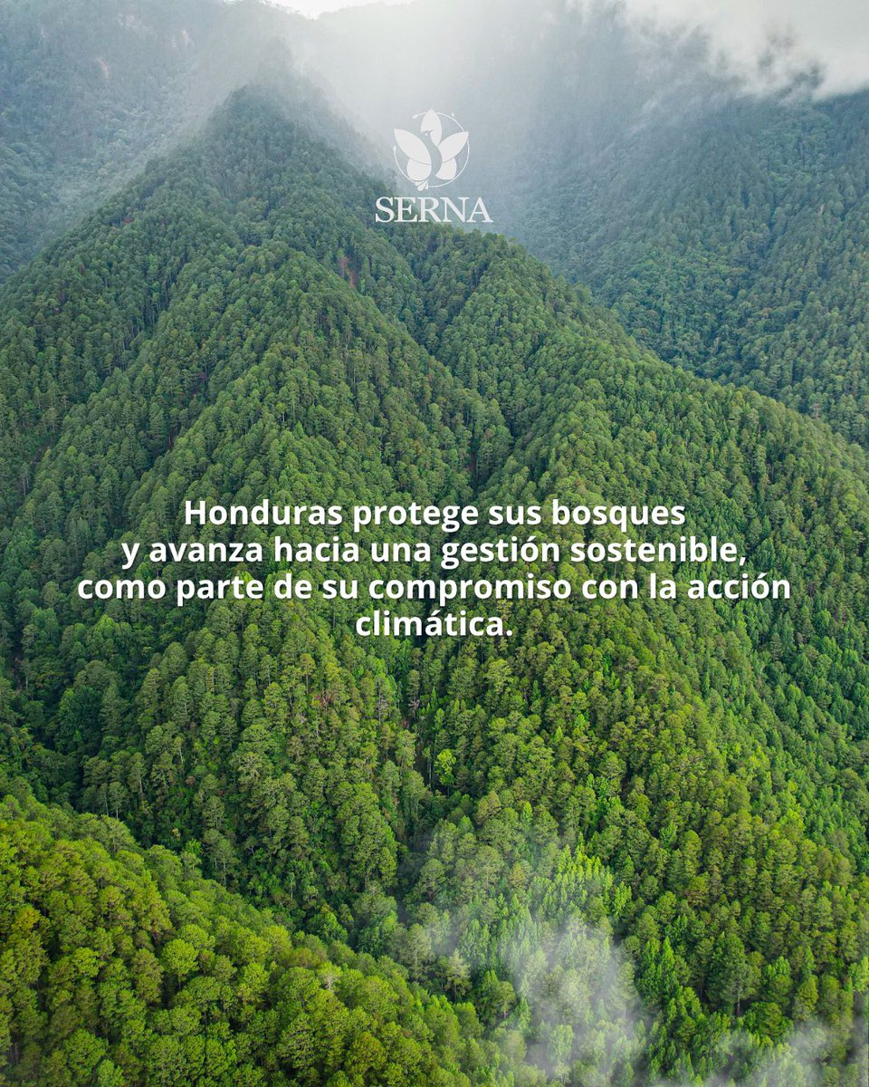 Secretaría de Recursos Naturales y Ambiente tweet media