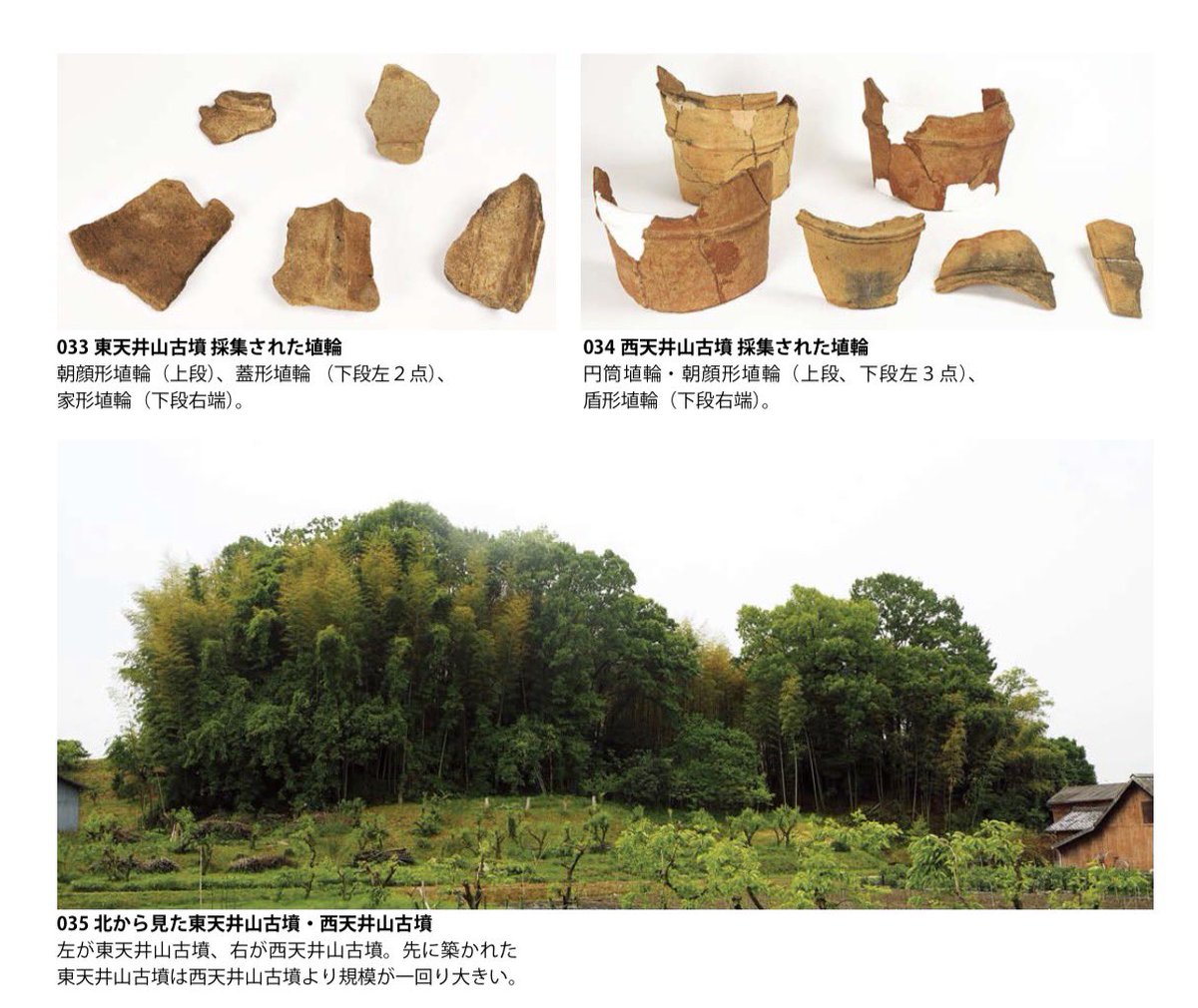 Sou_curator tweet media