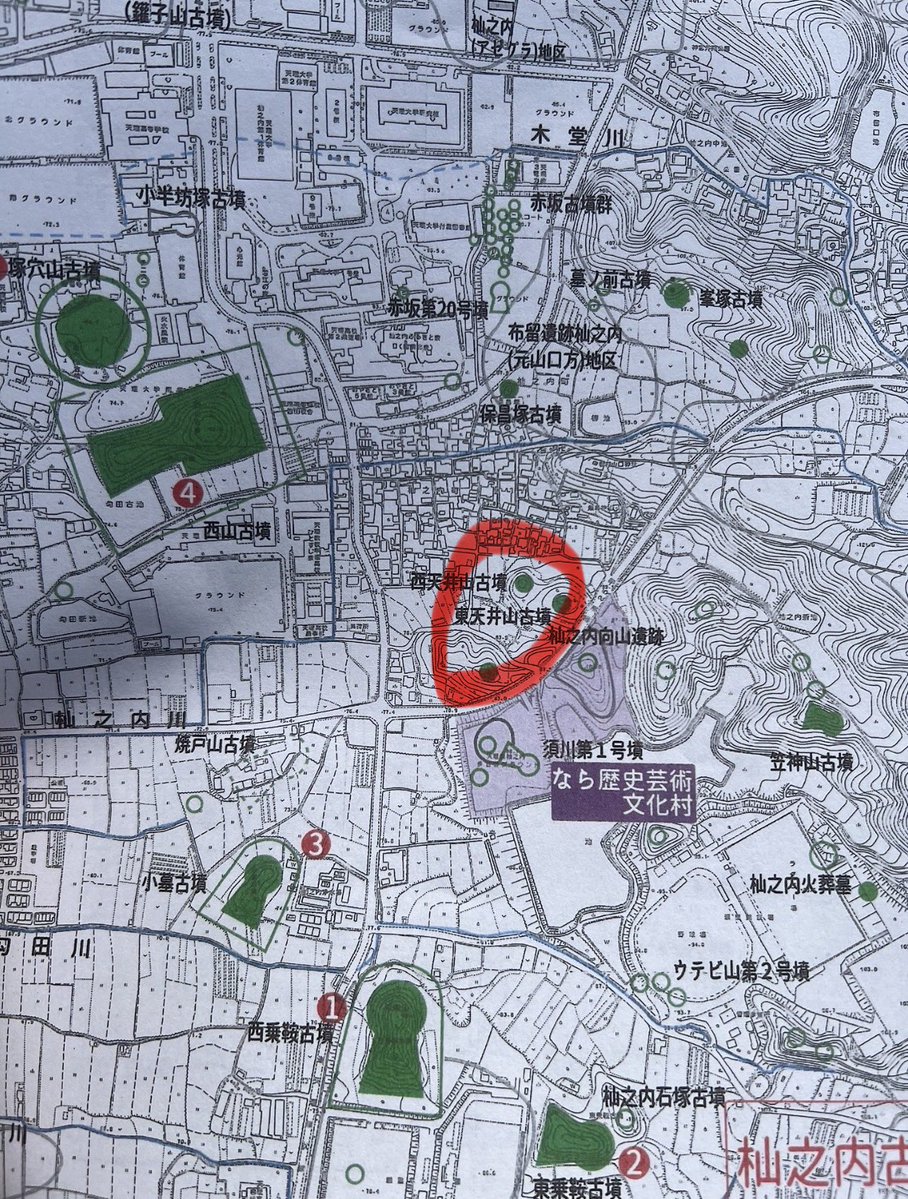 Sou_curator tweet media