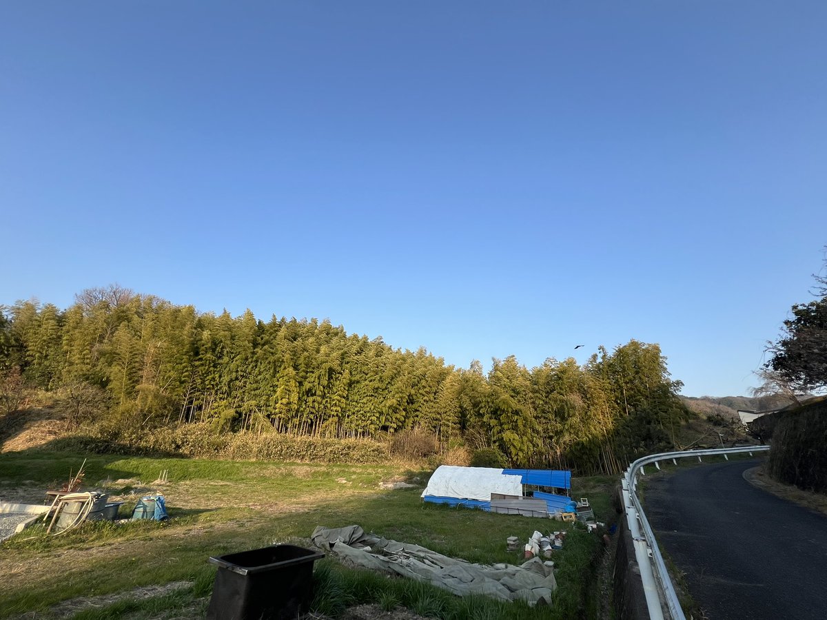 Sou_curator tweet media