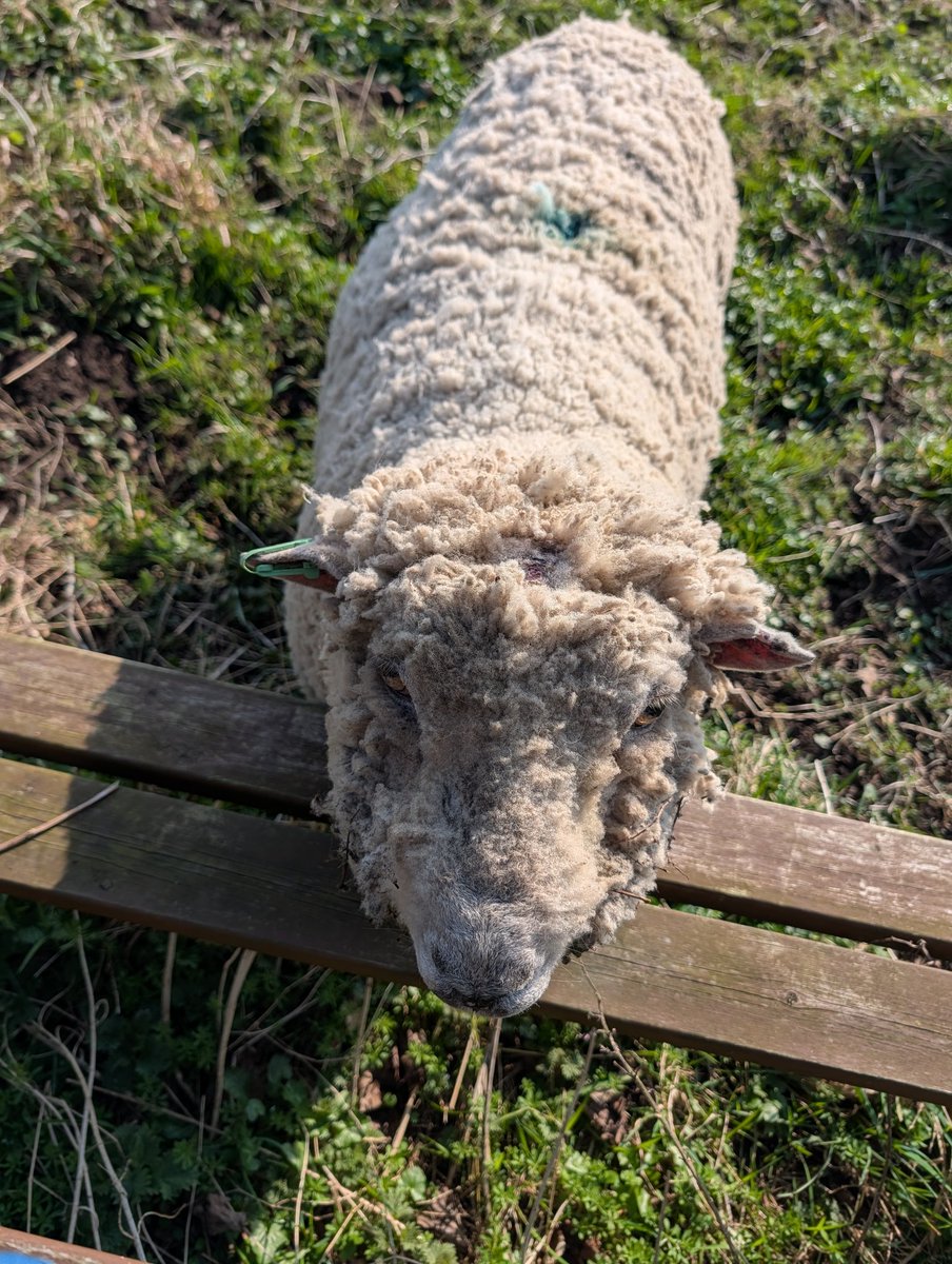 Sally Urwin tweet media