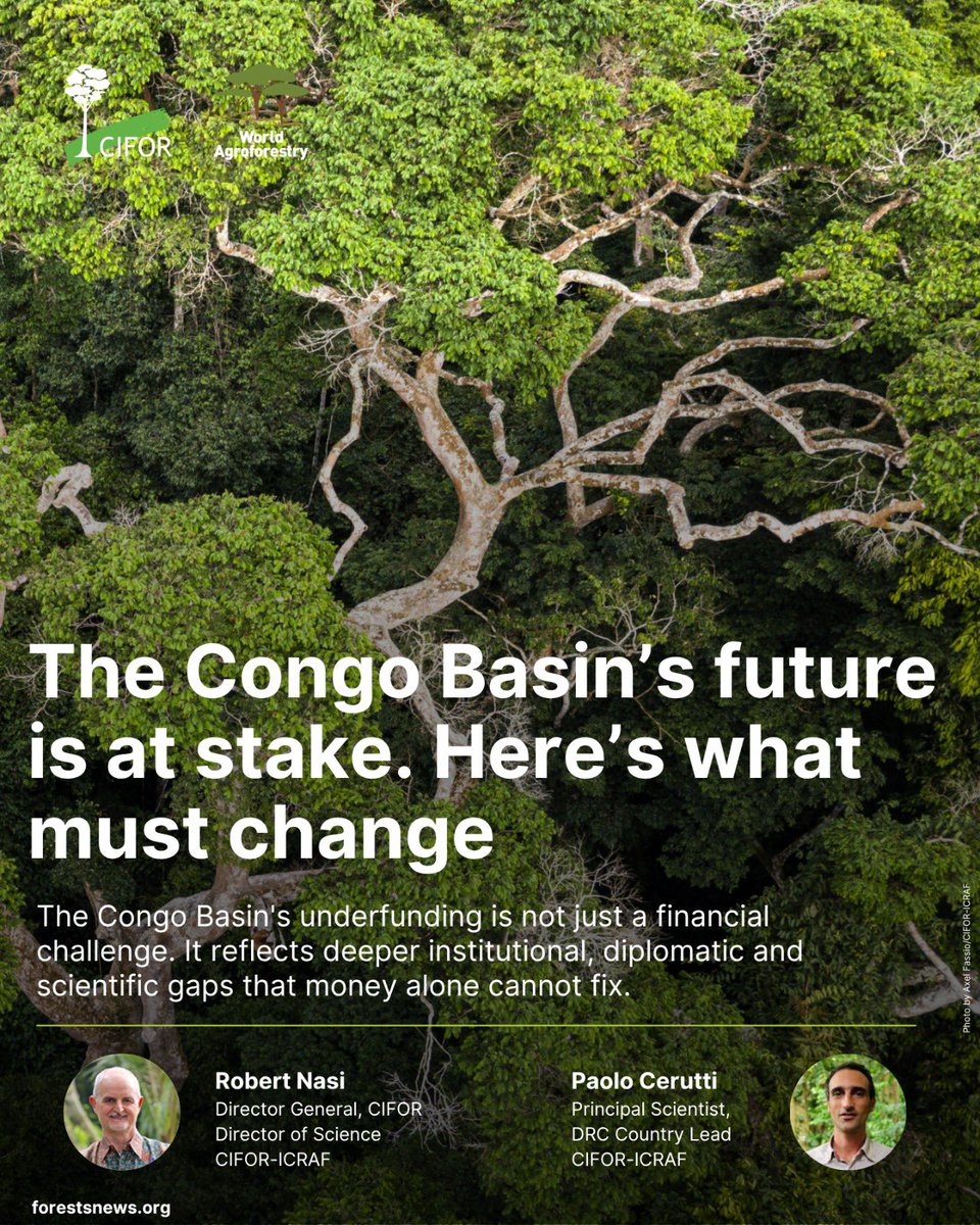 CIFOR-ICRAF tweet media