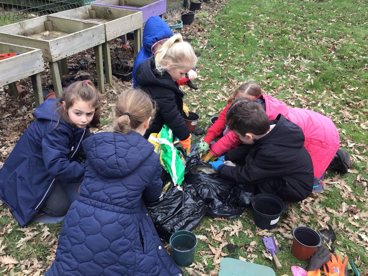 Owston Park Primary Academy tweet media