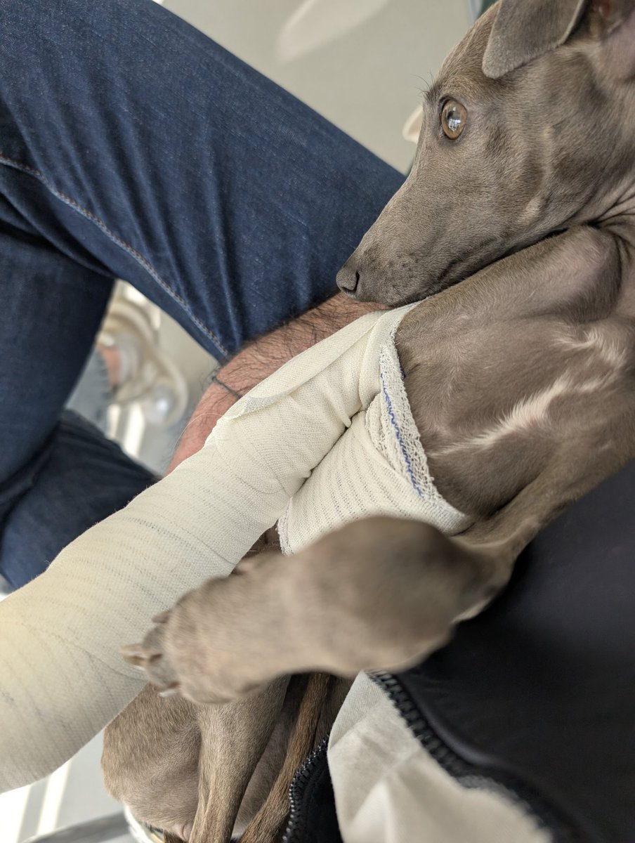 Kaptain_Lib tweet media