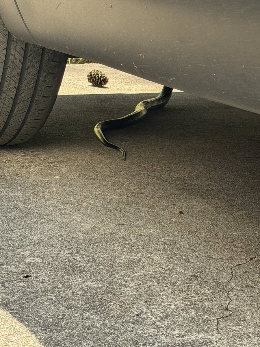 Erick Erickson tweet media