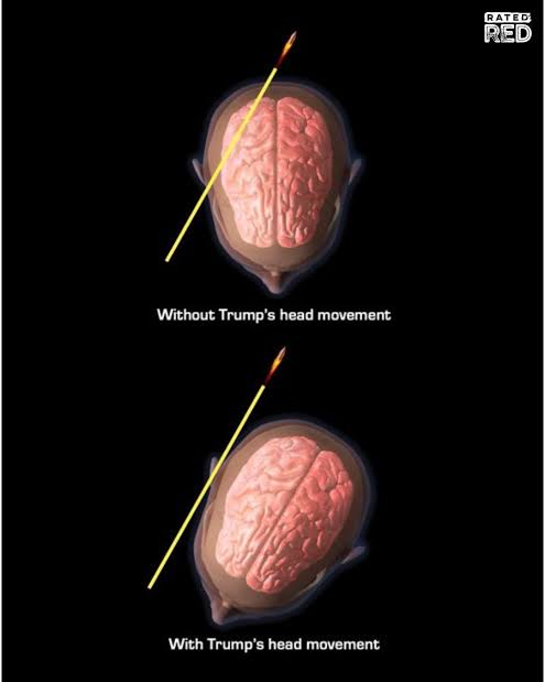 Wasson Watch Co. tweet media