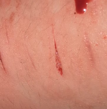 ☆silent bob of shedwt☆ tweet media