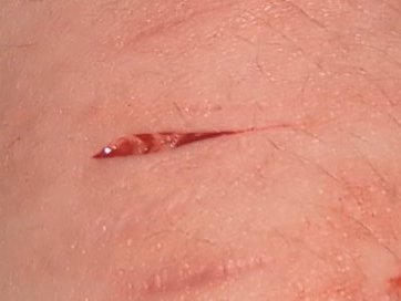 ☆silent bob of shedwt☆ tweet media