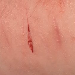 ☆silent bob of shedwt☆ tweet media