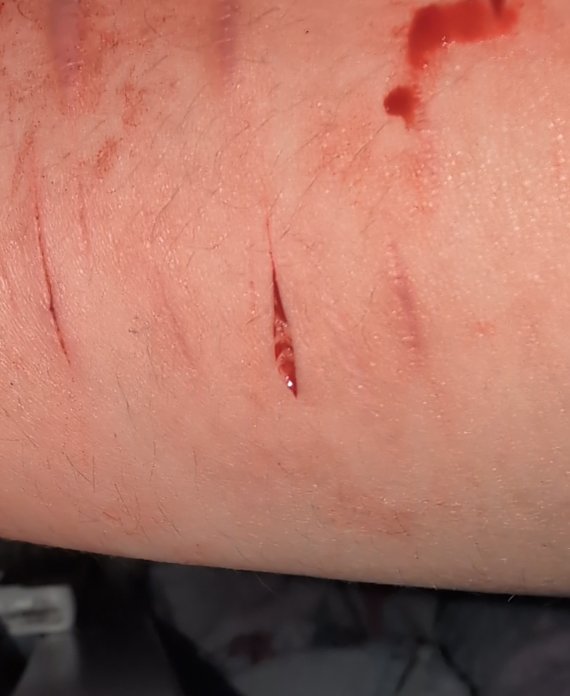 ☆silent bob of shedwt☆ tweet media