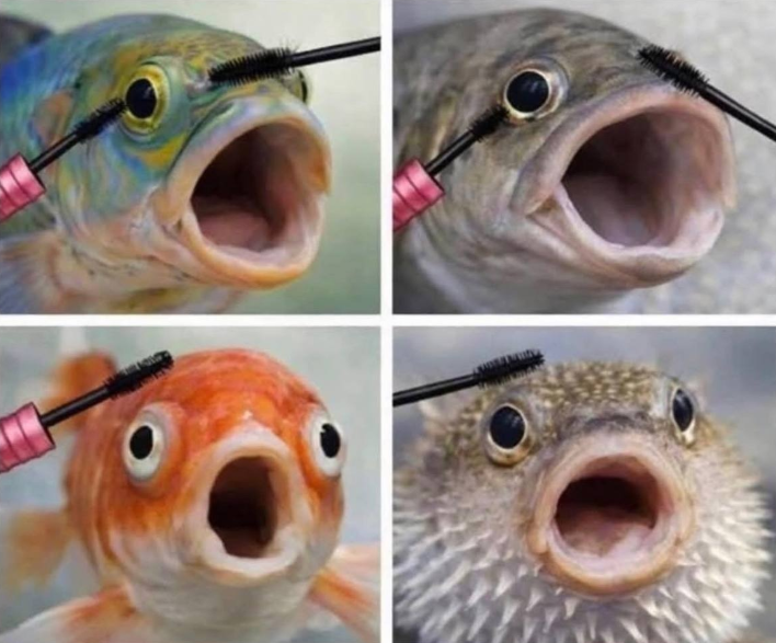 Nobody: 

Girls putting on mascara: