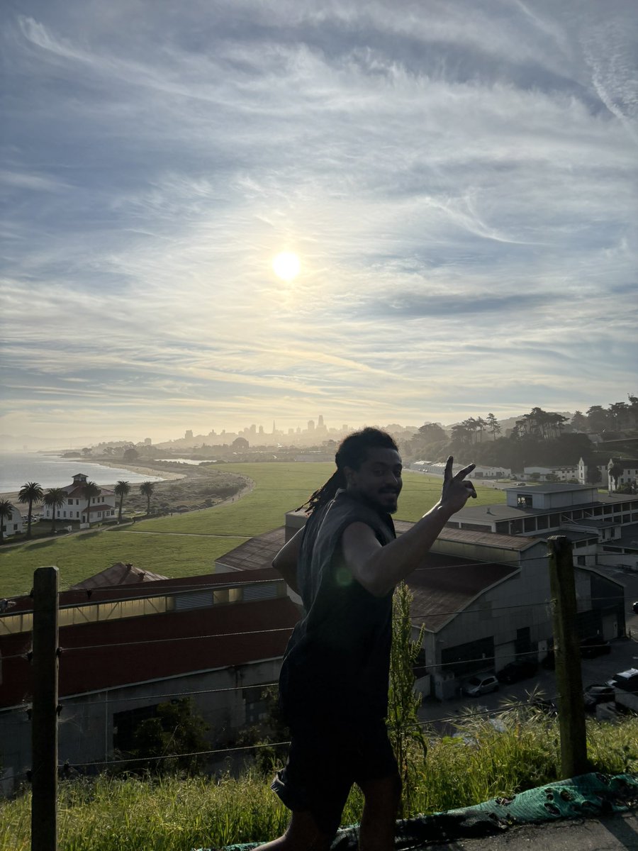 Max Segall tweet media