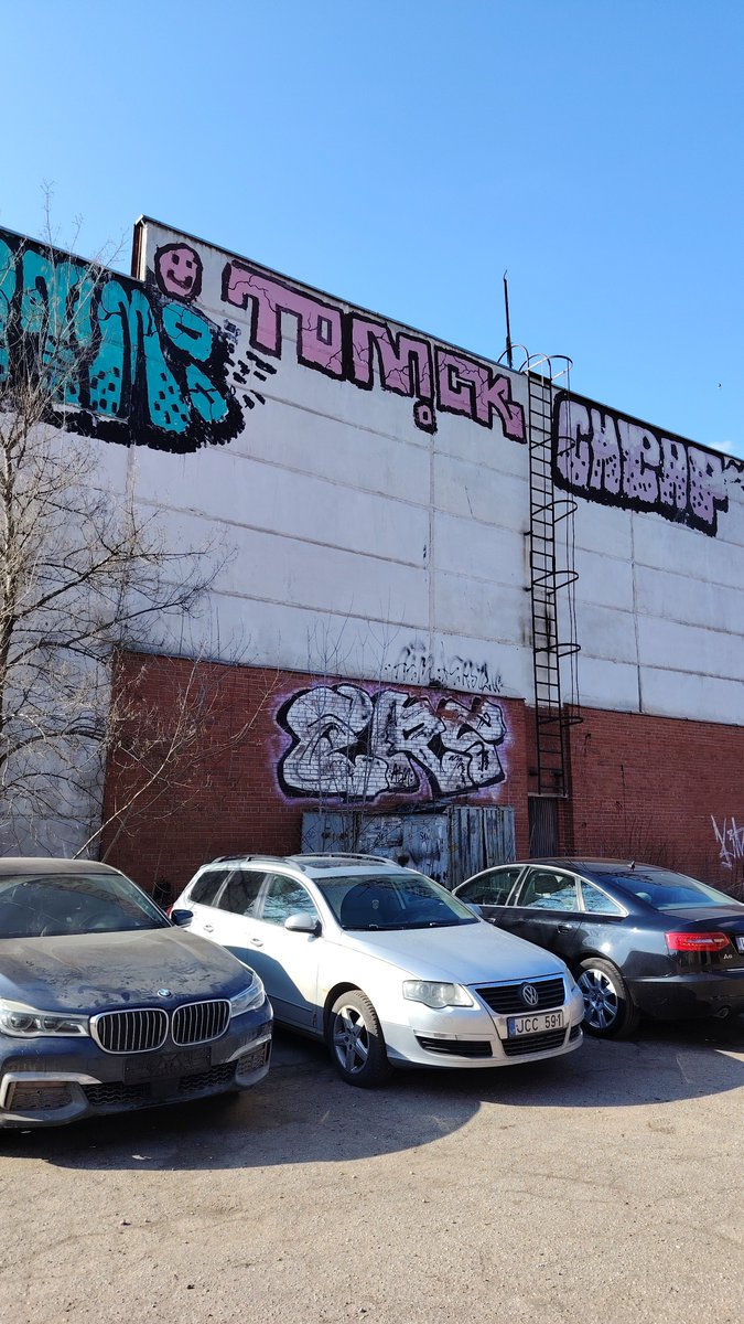 ЛЕСНОЙ КОТИК 🎬 tweet media