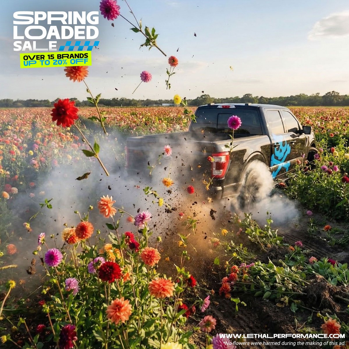 Lethal Performance tweet media