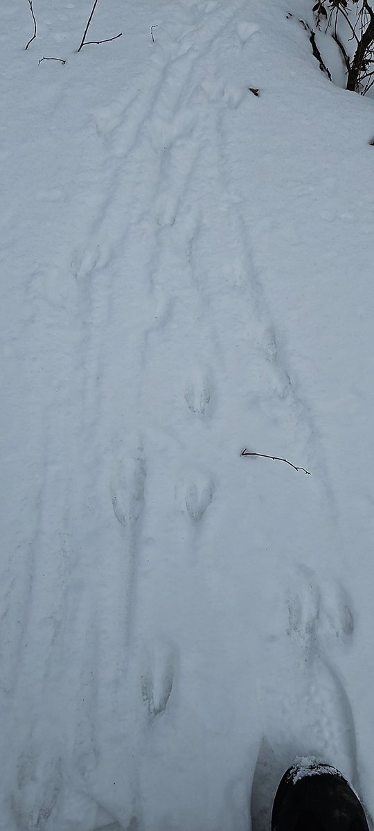 Eric Gauthier tweet media