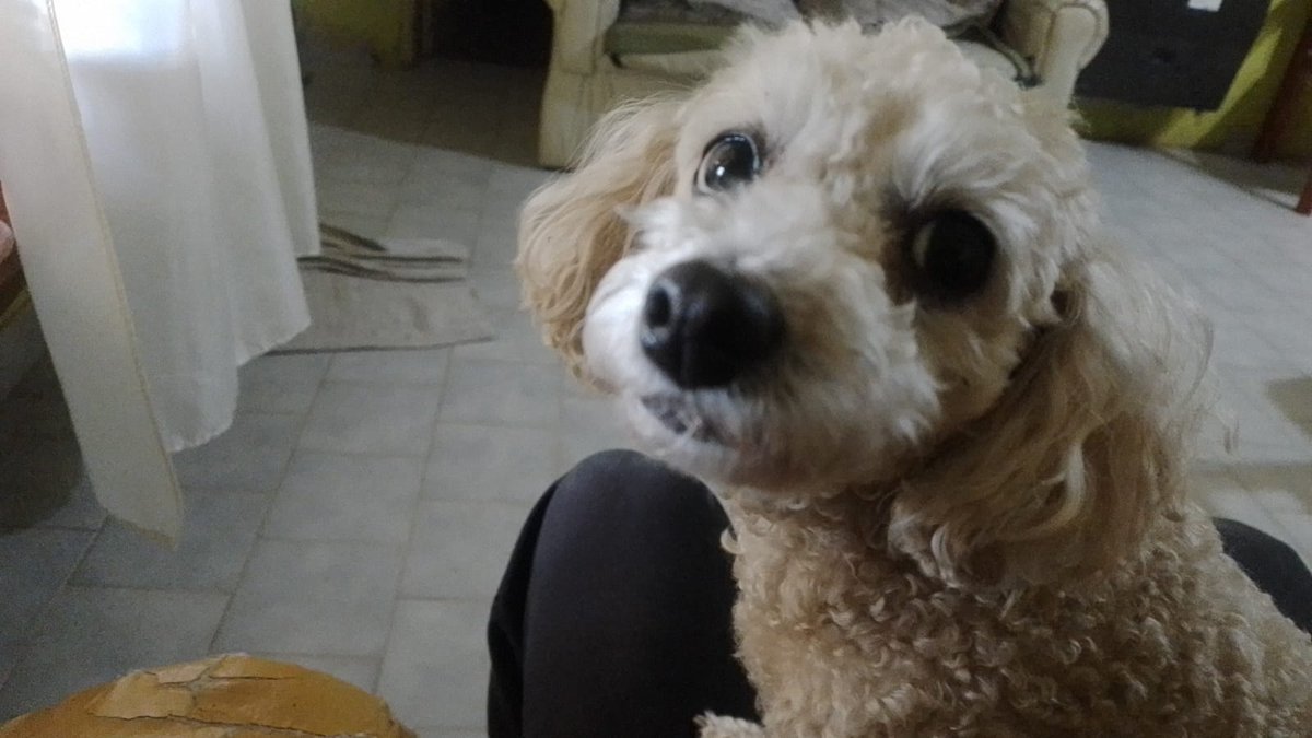 tio nacho tweet media