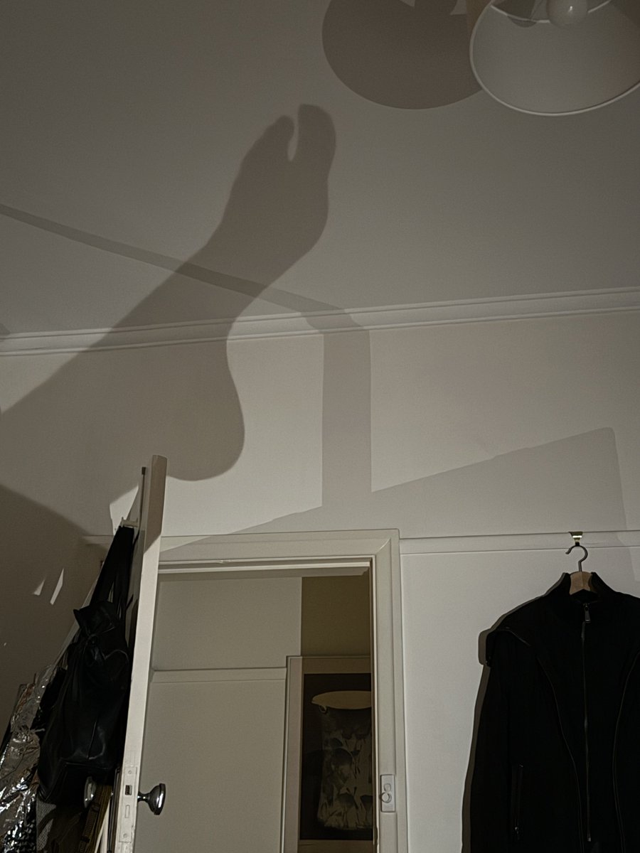 𝔈𝔳𝔞 𝔇𝔢𝔰𝔱𝔯𝔲𝔠𝔱𝔦𝔬𝔫 tweet media