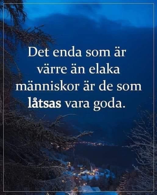 Carina S tweet media