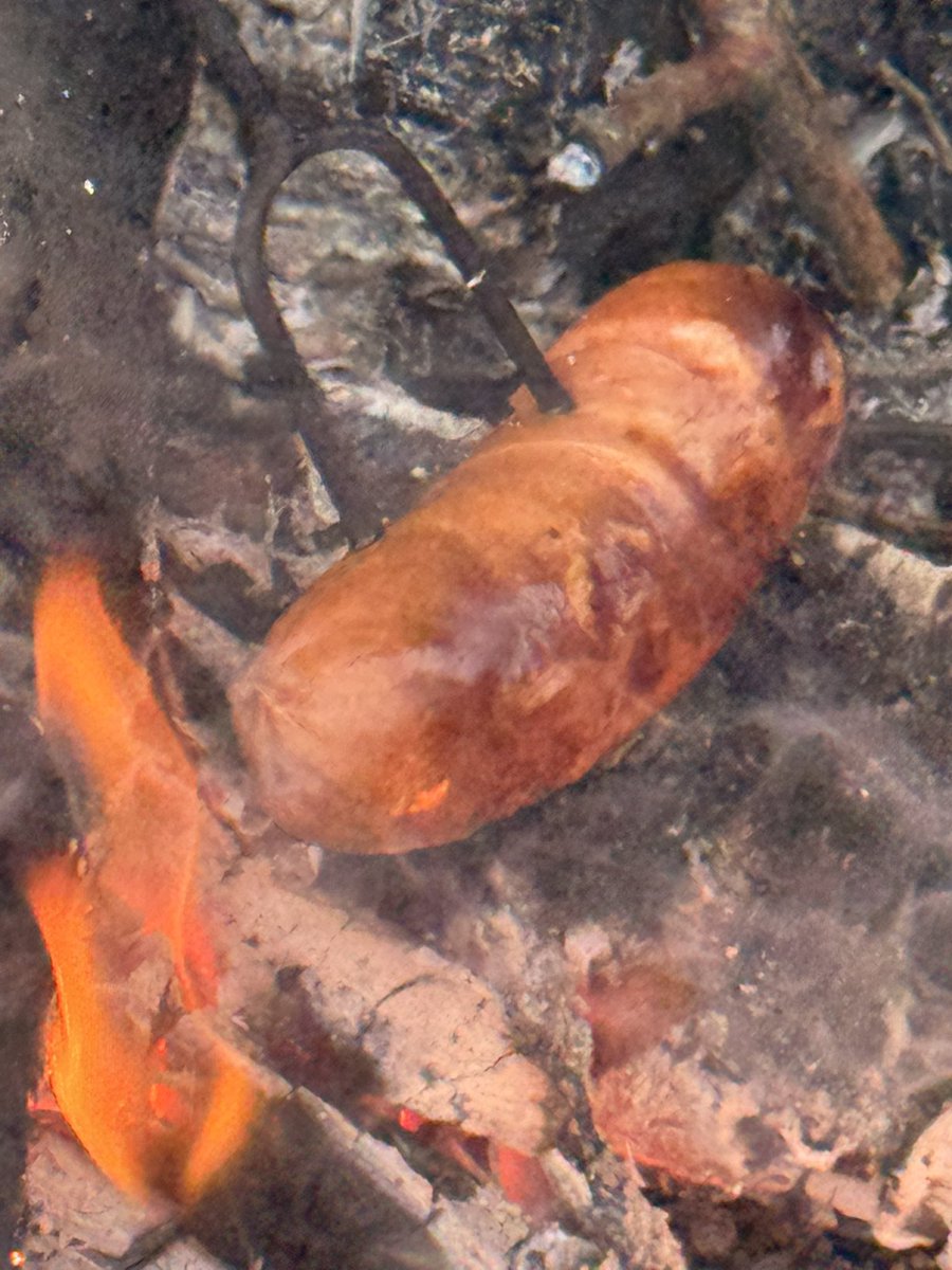 Pirjo Sokka-Sarvela tweet media