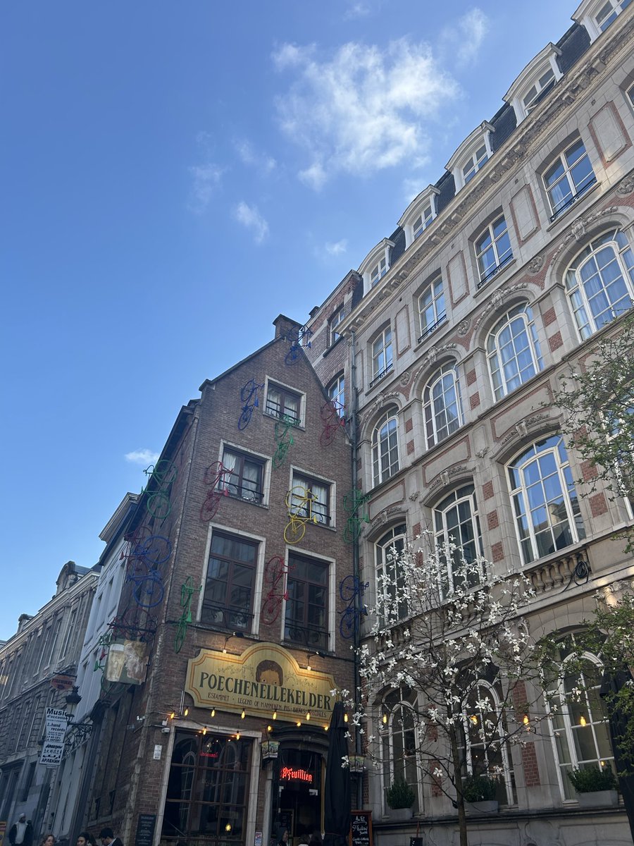 Maître Execution tweet media