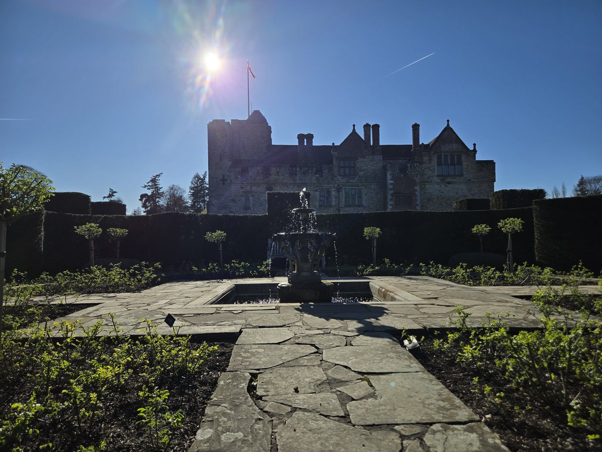 The Ash Lizard tweet media