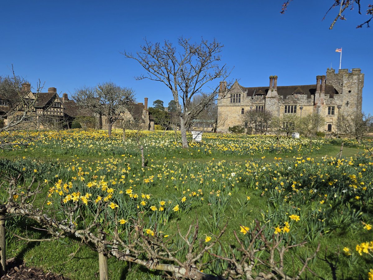 The Ash Lizard tweet media