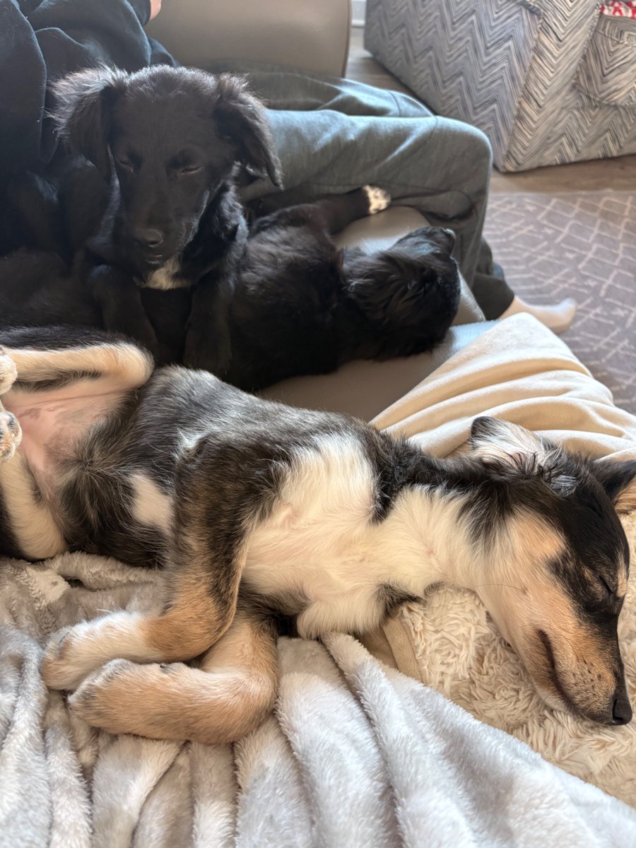 Lisa Moore ATC tweet media