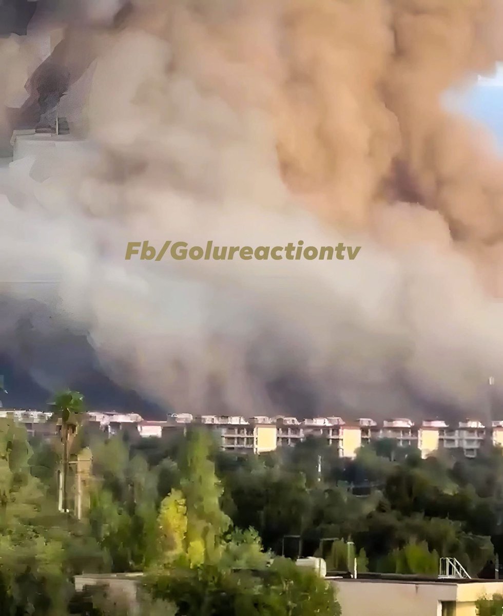 Shiri_Sabra tweet media