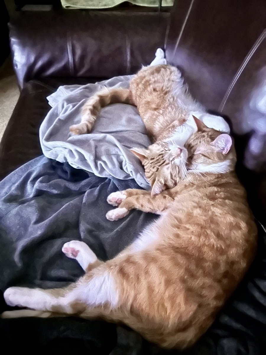 Richard Cobb tweet media