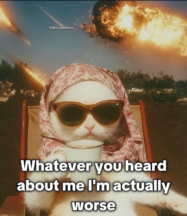 𝐊𝐚𝐭 🚩 tweet media