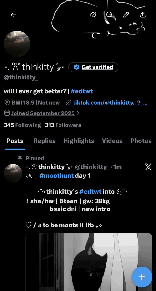 ⋆. 𐙚 ̊ thinkitty ˚.༘⋆ tweet media
