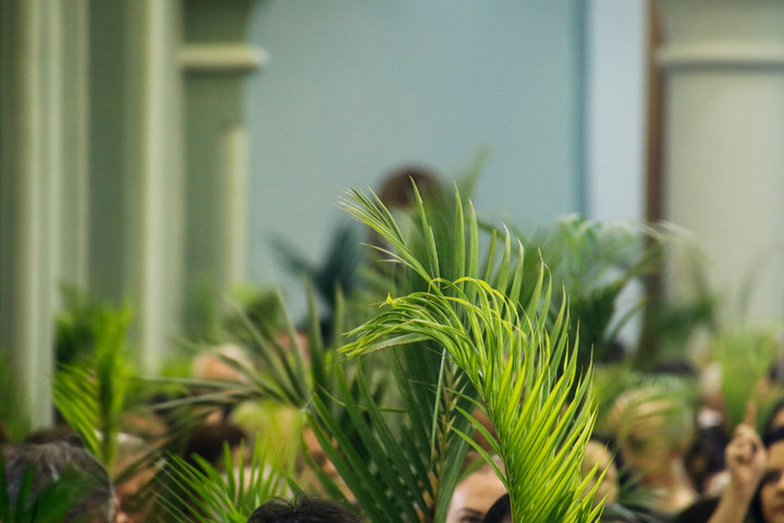 ConnectWithROLC's tweet photo. Hosanna! 🌿 Blessed is He who comes in the name of the Lord! Today we celebrate Palm Sunday and the triumphant entry of Jesus Christ, our King. Join us this morning as we worship with grateful hearts and prepare for Holy Week. #ROLC #PalmSunday https://t.co/tChXUe3GLw