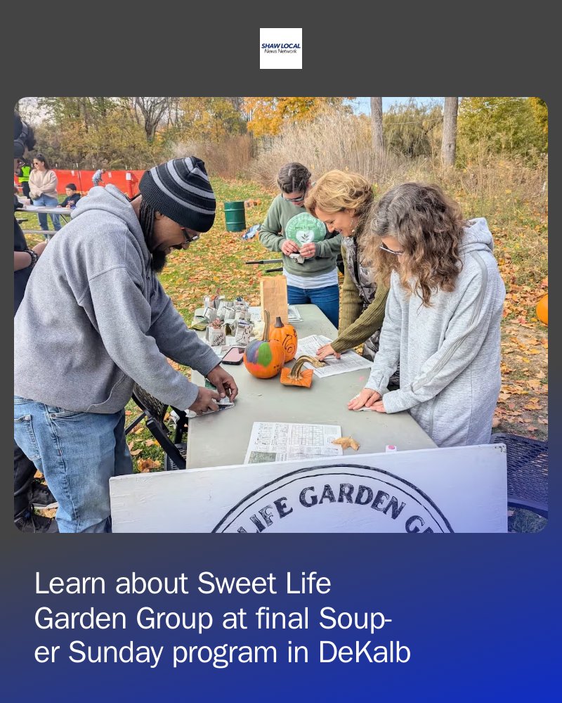 Daily Chronicle - Shaw Local tweet media