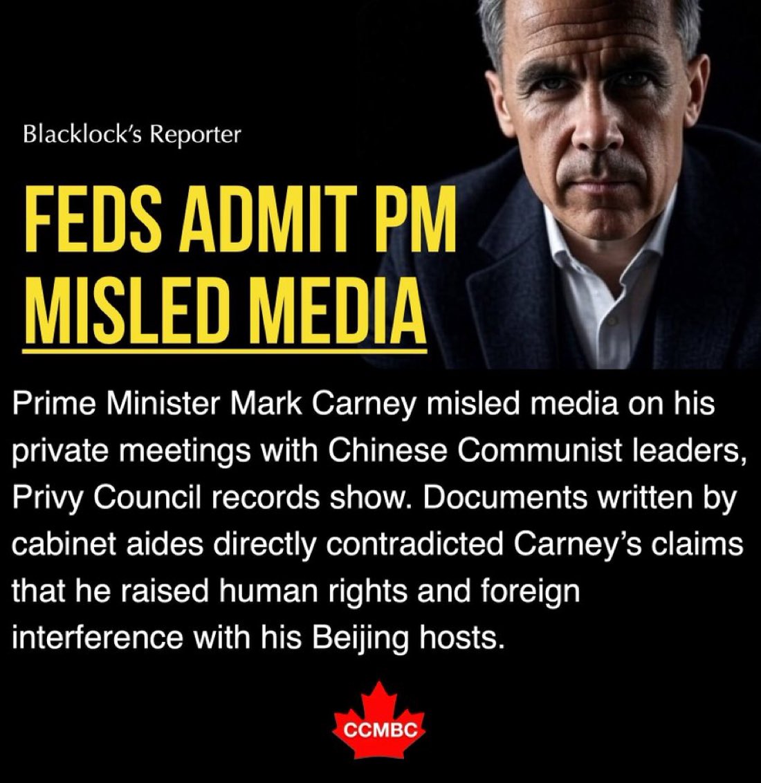 Concerned Canadian tweet media