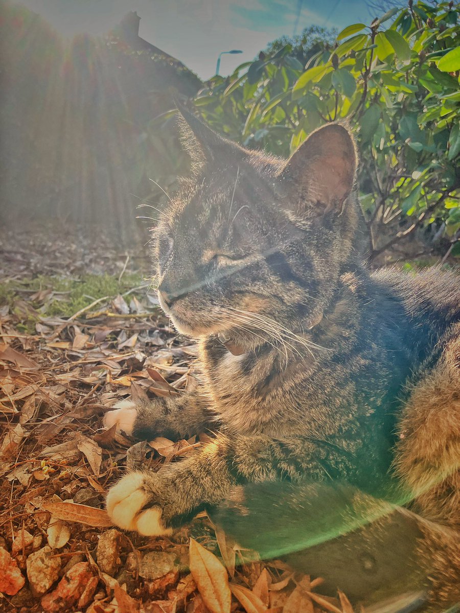 JPCampbellBiz tweet media